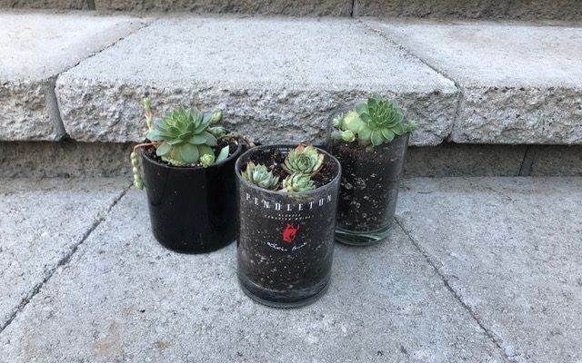 Arts & Craft Nights are Back – We have some fun things planned